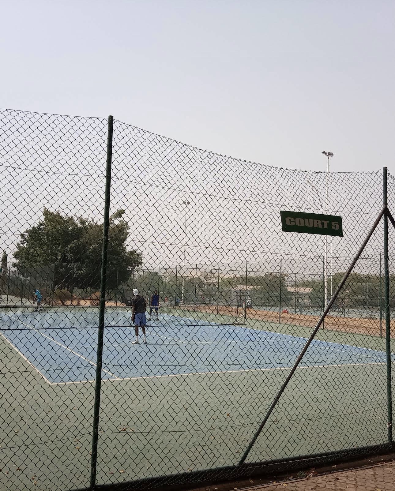 Sports turf